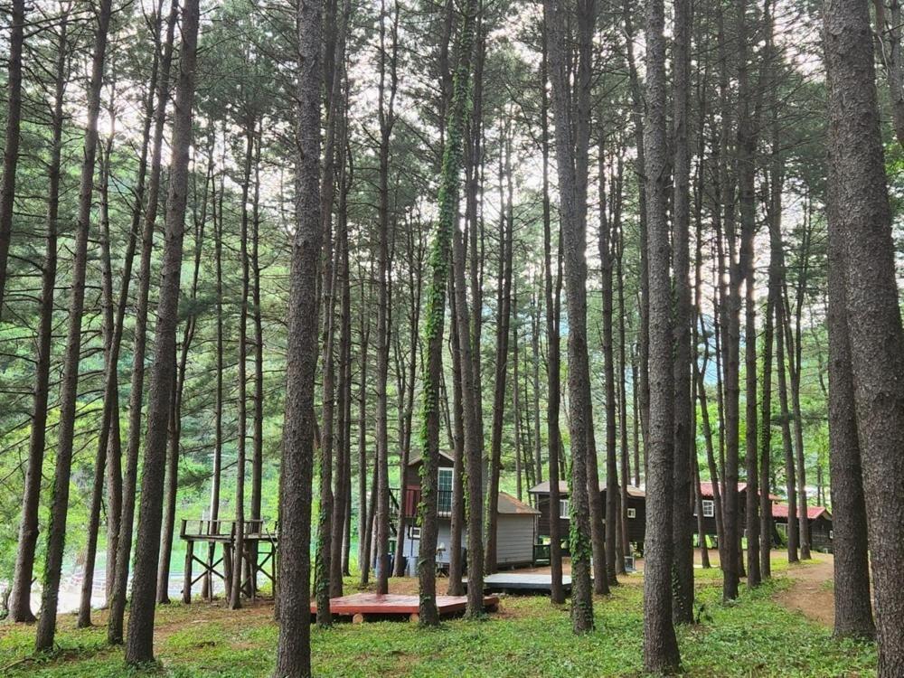 Hongcheon Gongjaksan Recreational Forest Pension Exteriér fotografie