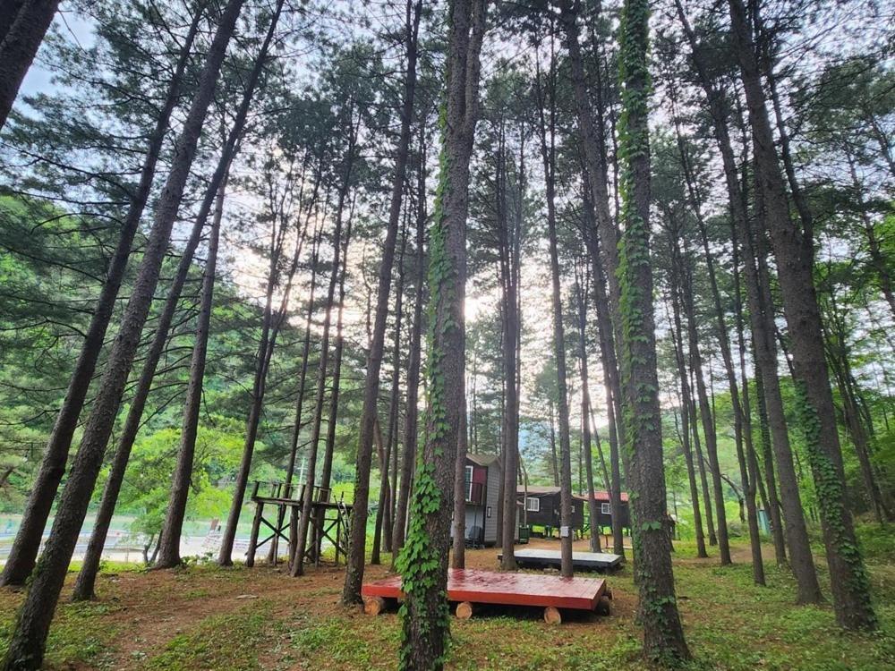 Hongcheon Gongjaksan Recreational Forest Pension Exteriér fotografie